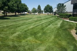 20160814_134846_resized