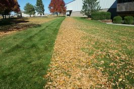 20161016_141625_resized