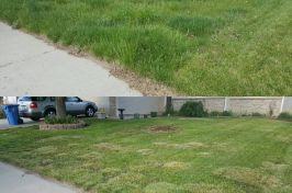 IMG_20160511_191726_resized