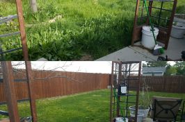 IMG_20160511_193111_resized