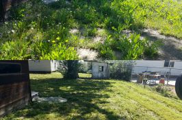 IMG_20160605_110118_resized