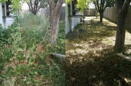 IMG_20160711_160944_resized