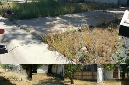 IMG_20160912_213739_resized